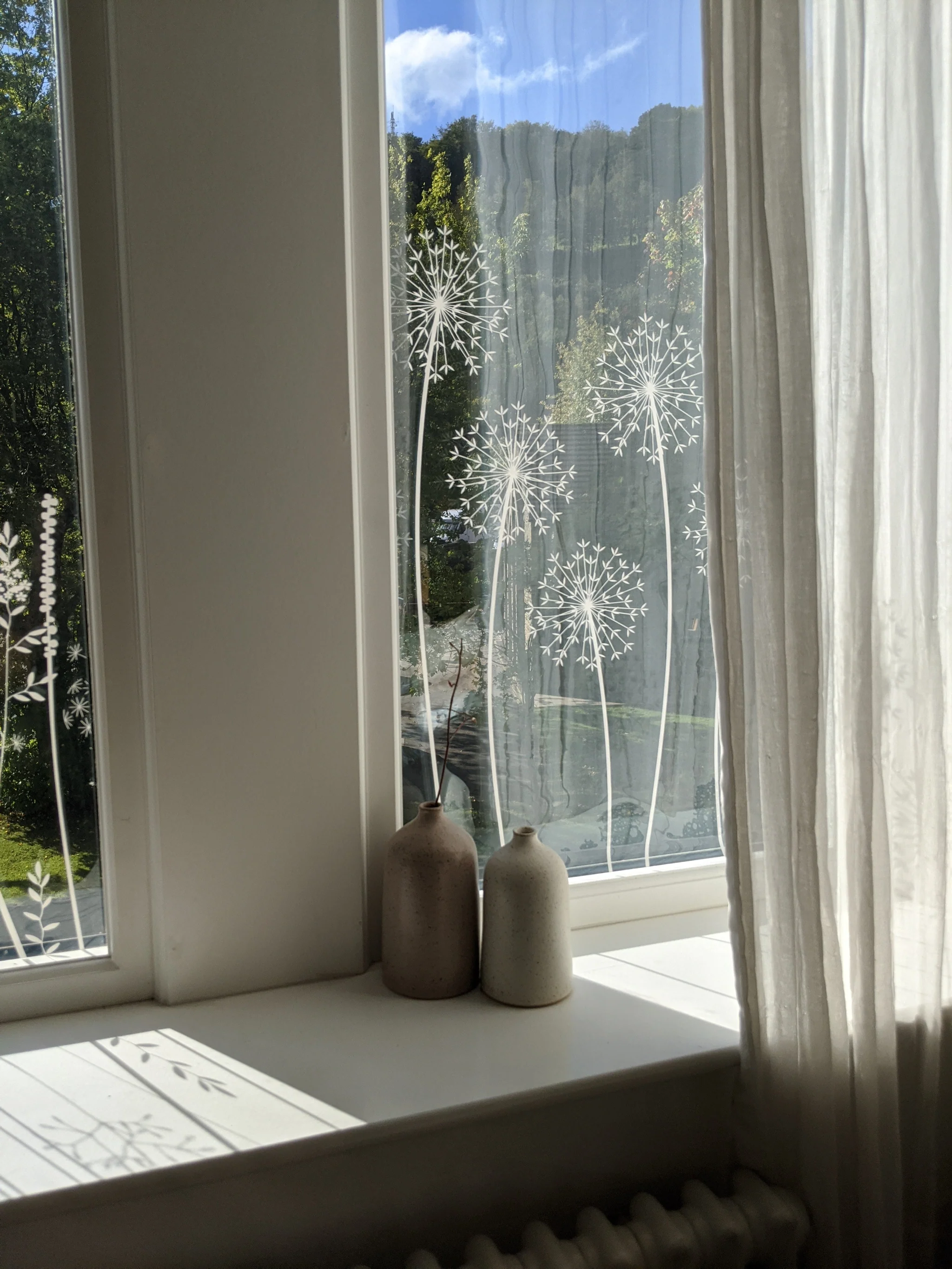 Allium - Hannah Nunn Designer Film - Image 10