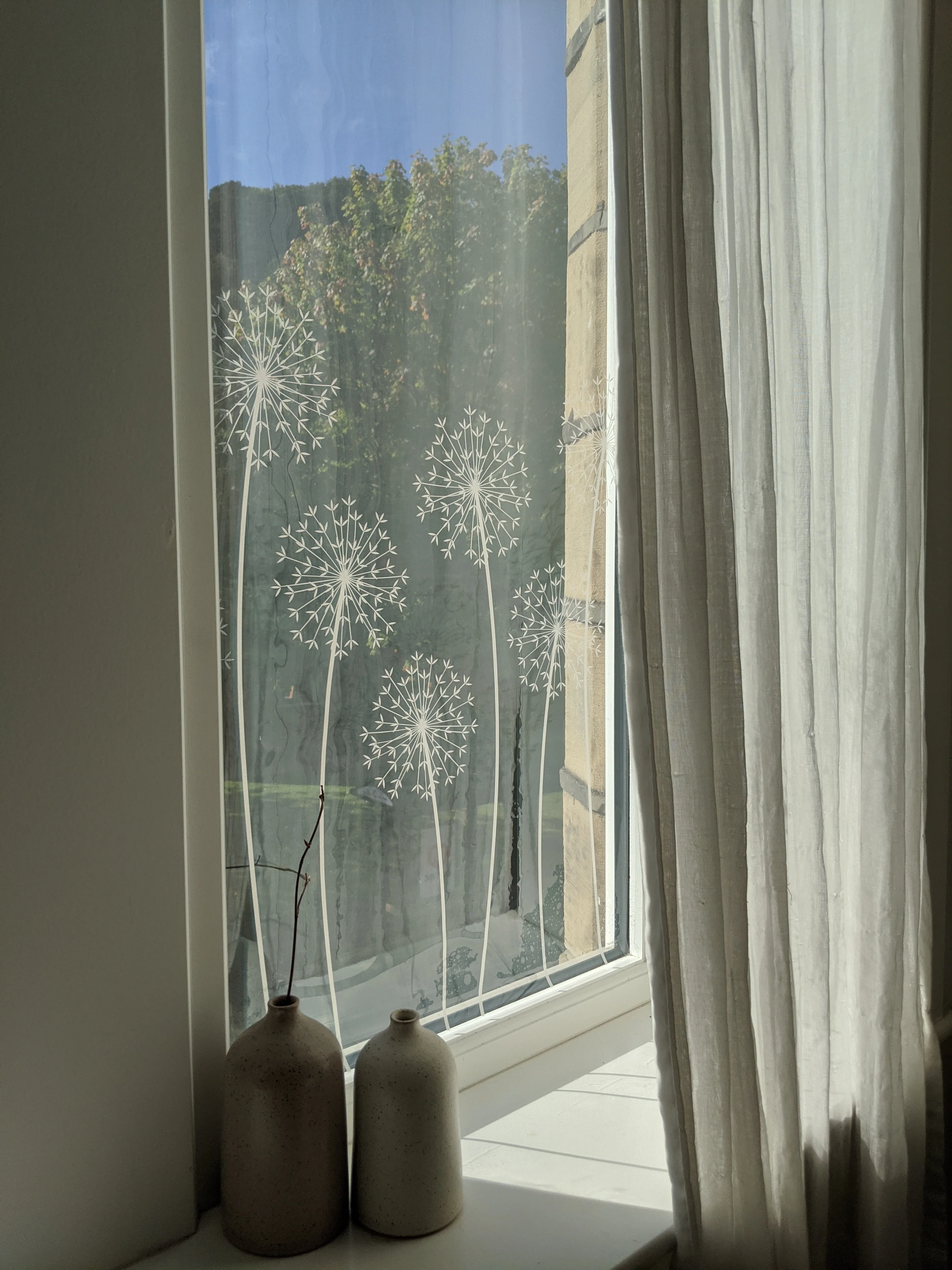 Allium - Hannah Nunn Designer Film - Image 11