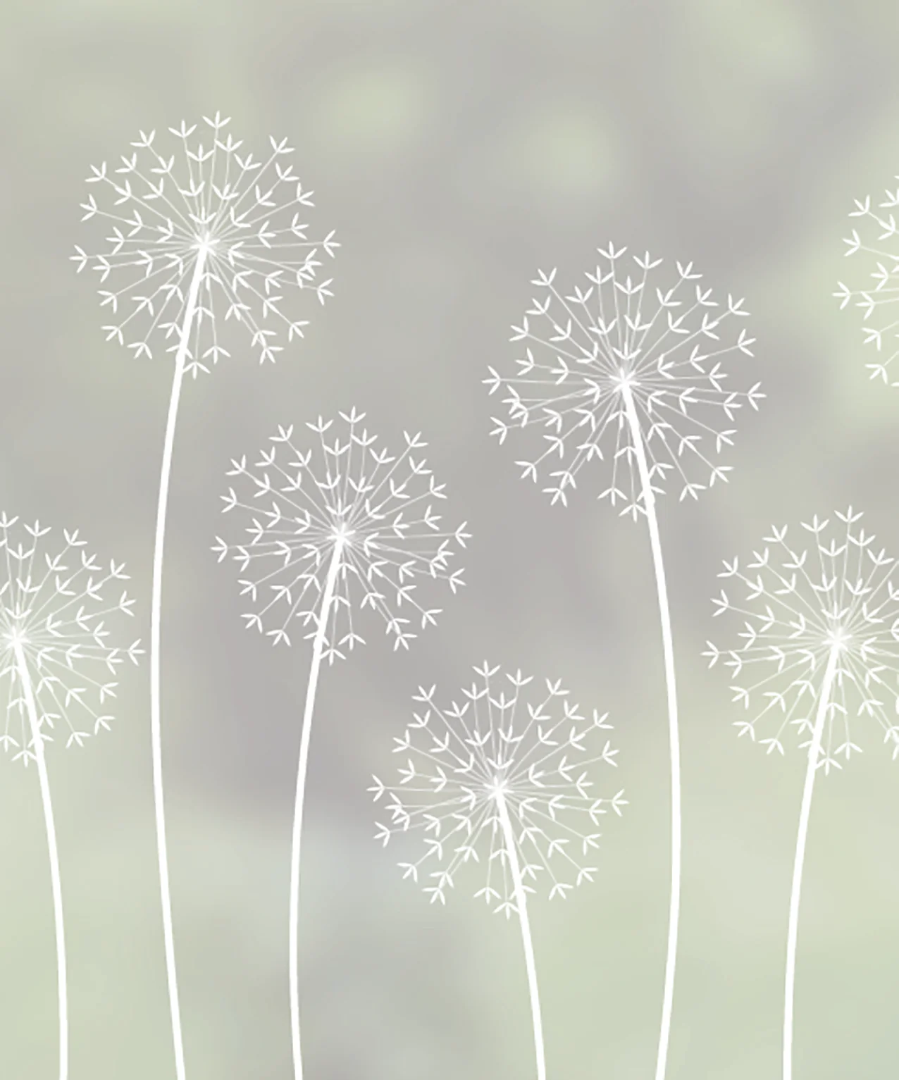 Allium - Hannah Nunn Designer Film - Image 5