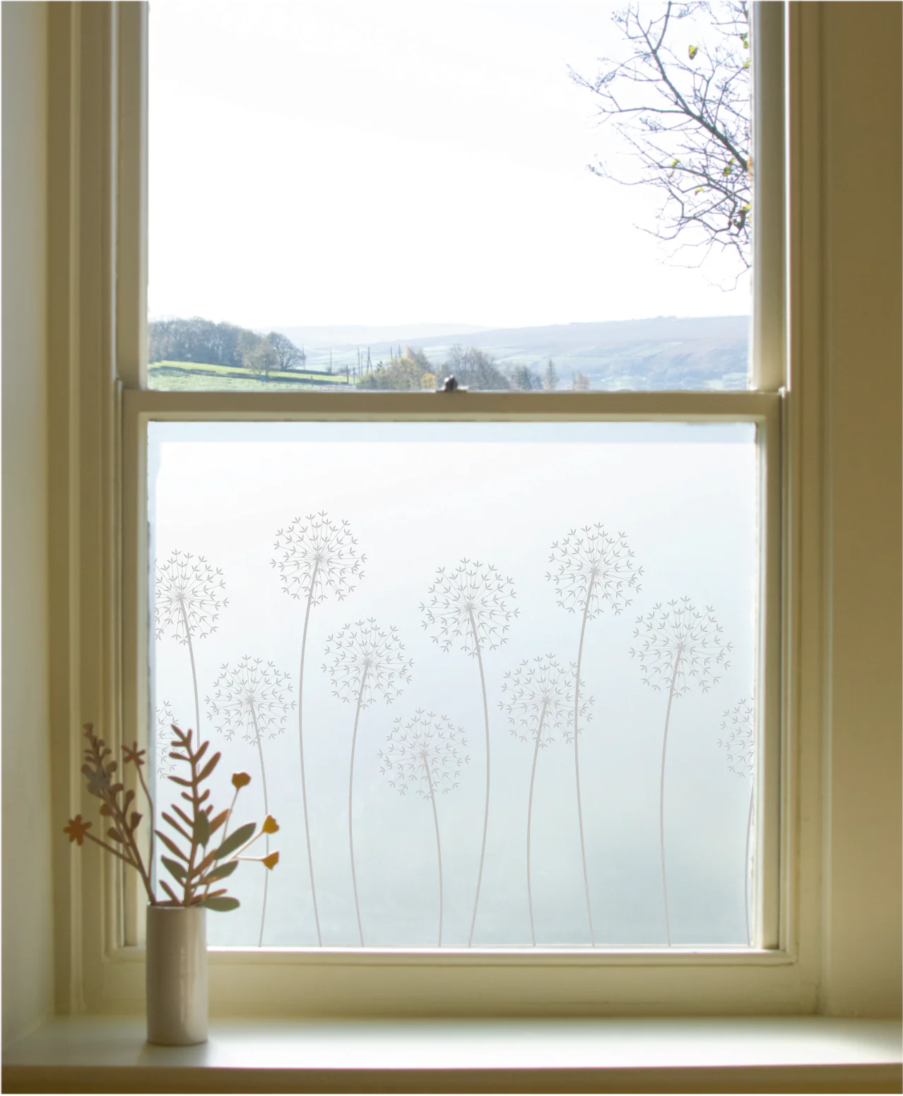 Allium - Hannah Nunn Designer Film - Image 6