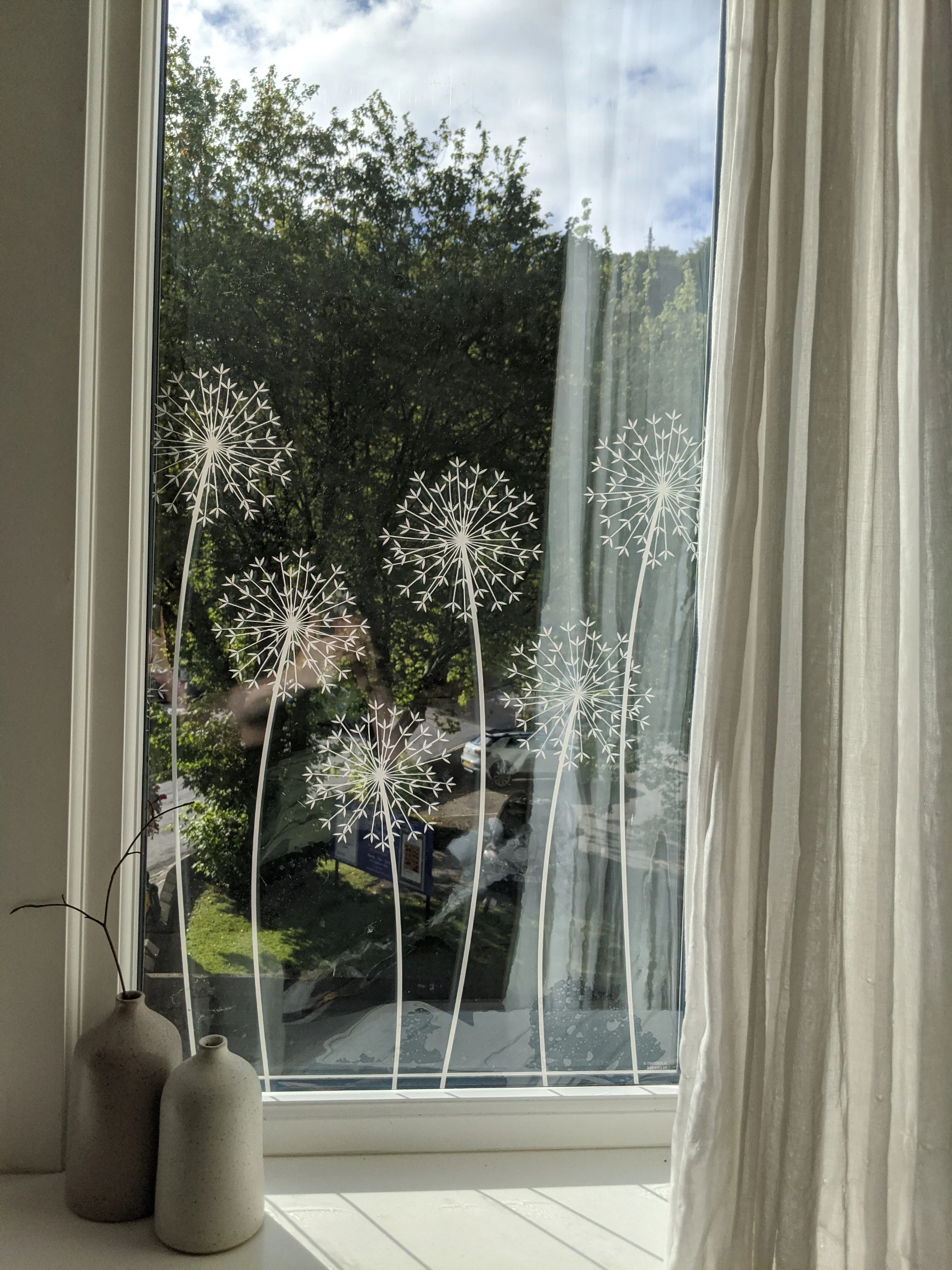 Allium - Hannah Nunn Designer Film - Image 7