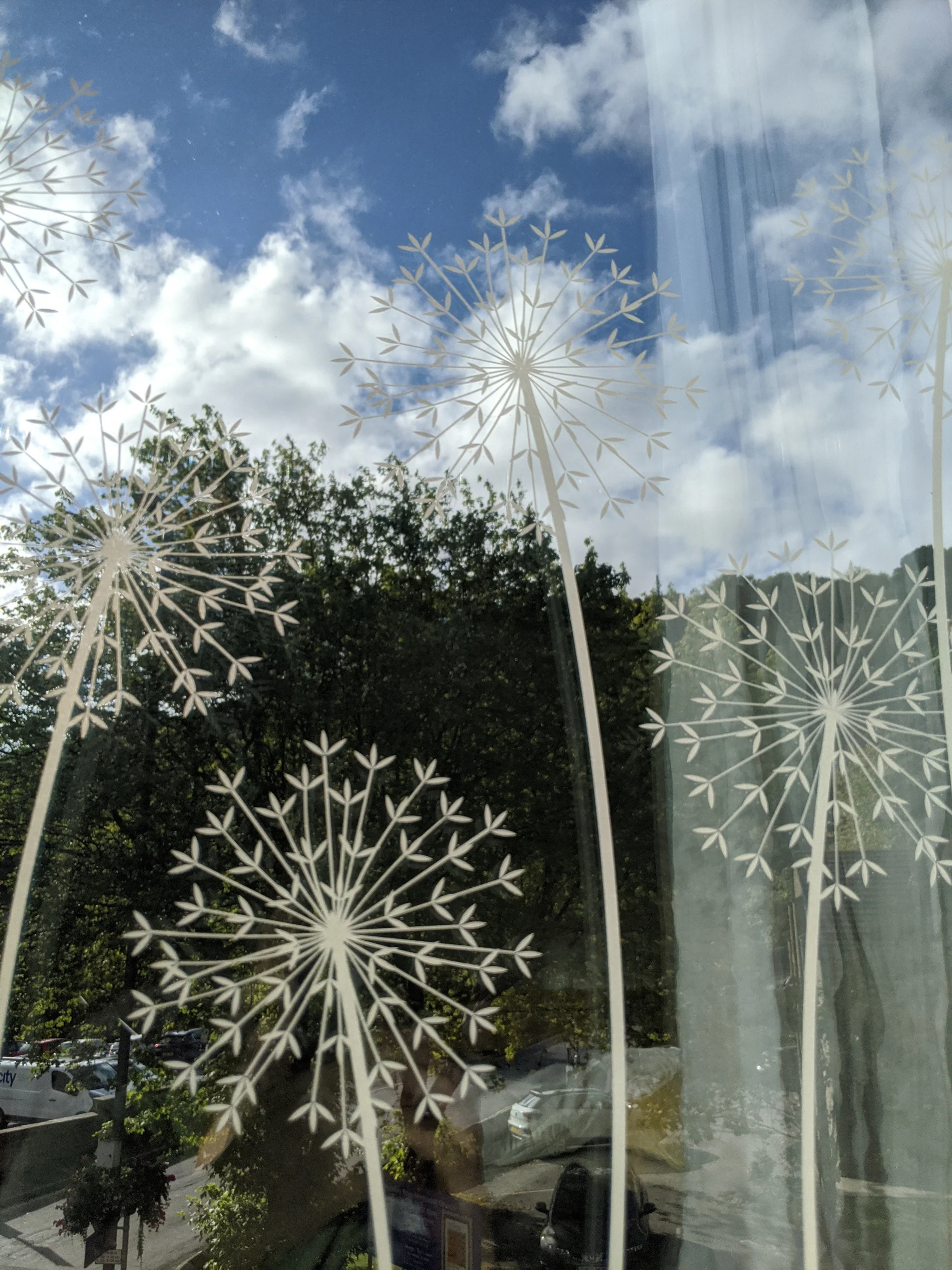 Allium - Hannah Nunn Designer Film - Image 8