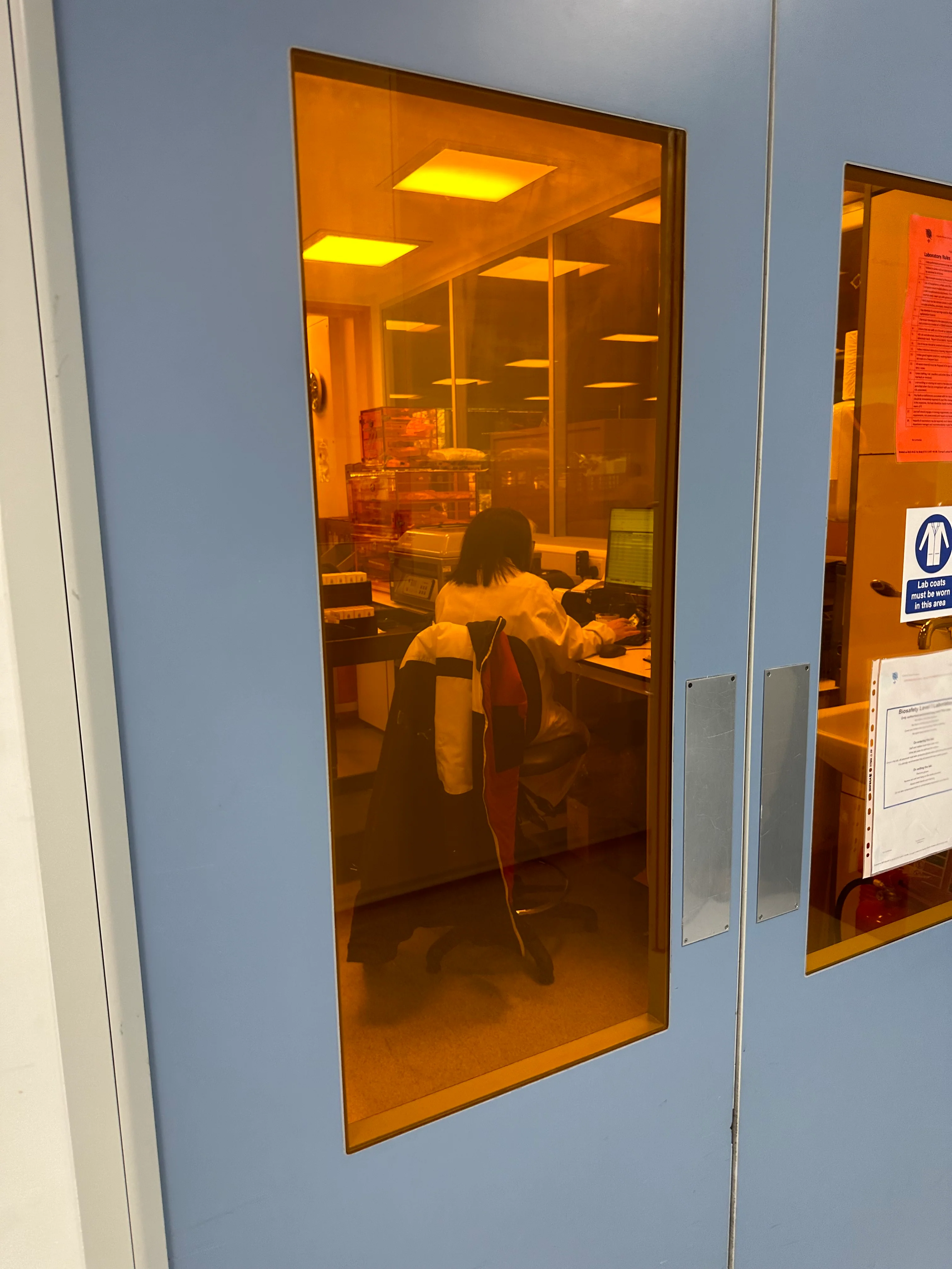 Amber 81 - UV Protection Window Film