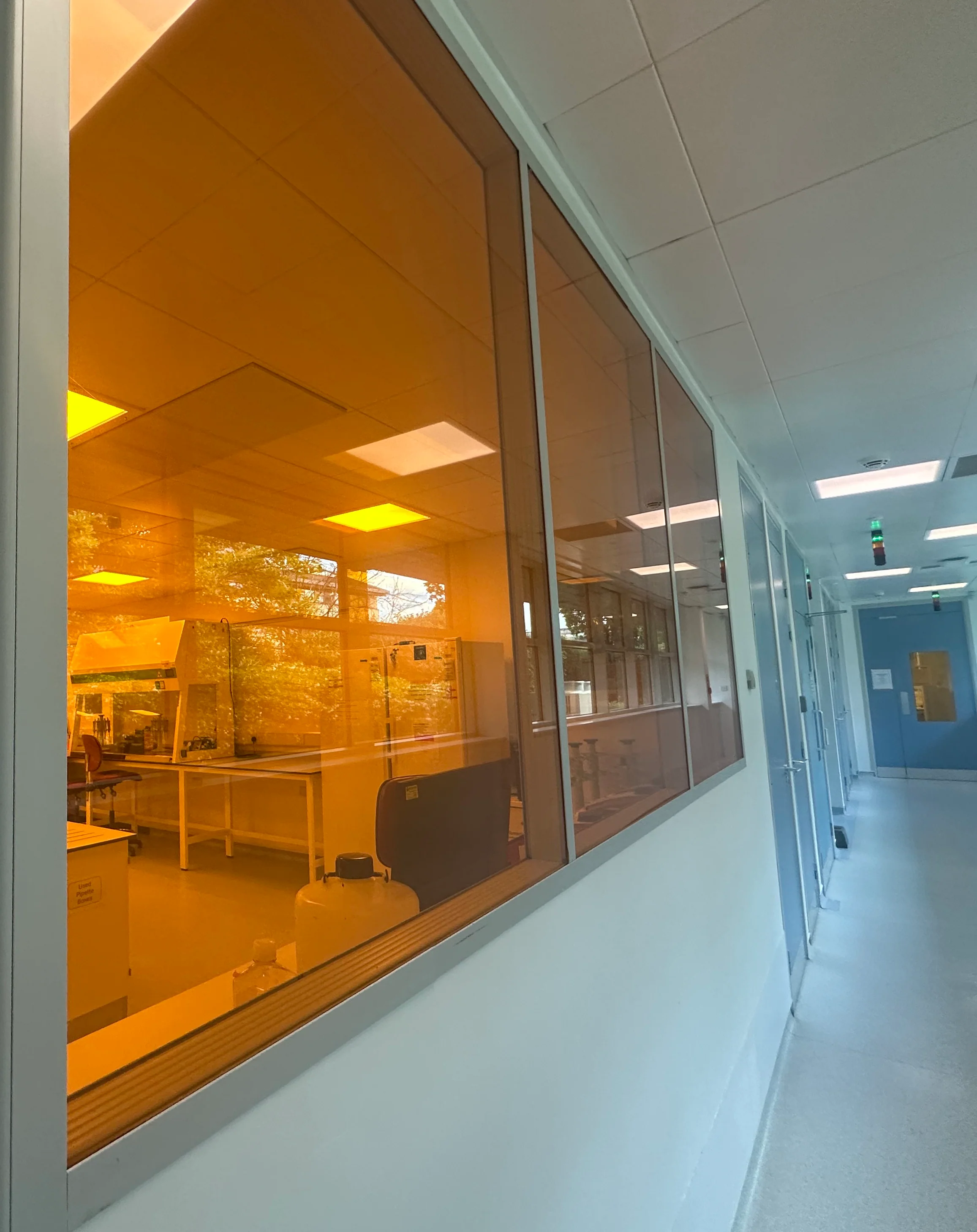 Amber 81 - UV Protection Window Film - Image 2