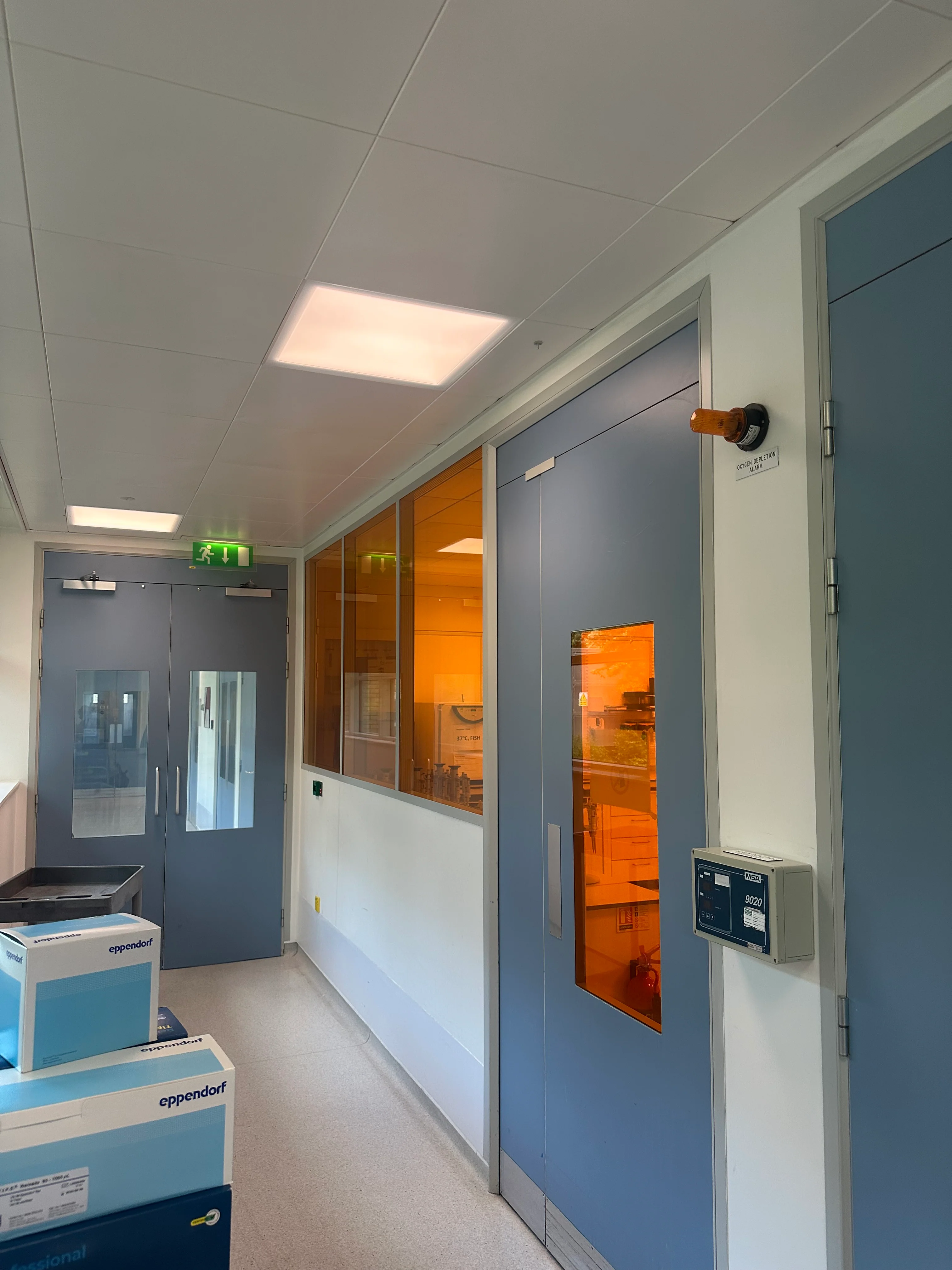 Amber 81 - UV Protection Window Film - Image 3