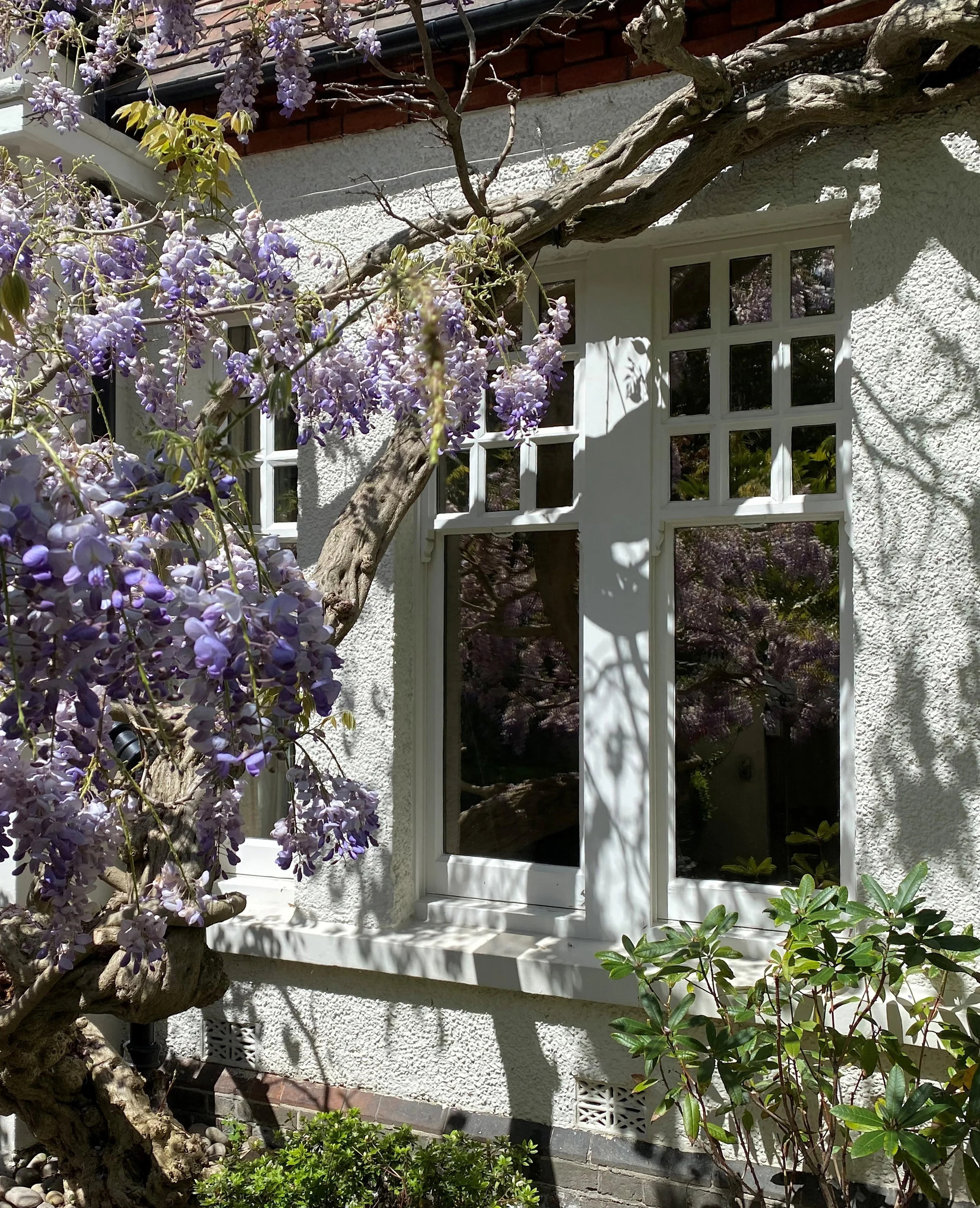 Climate 70 - Conservatory Window Film - Image 6