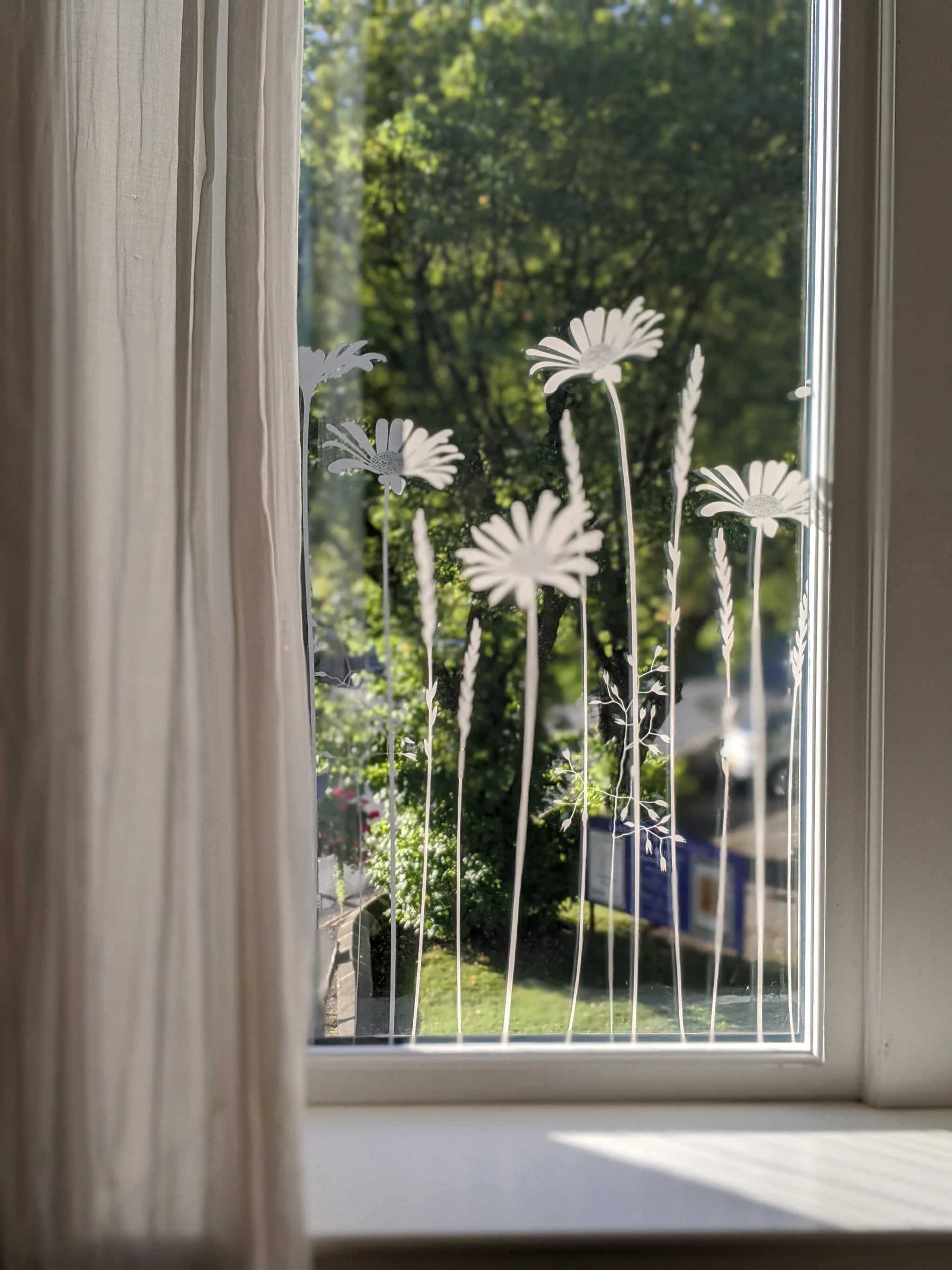 Daisy Meadows Edge - Hannah Nunn Designer Film - Image 10