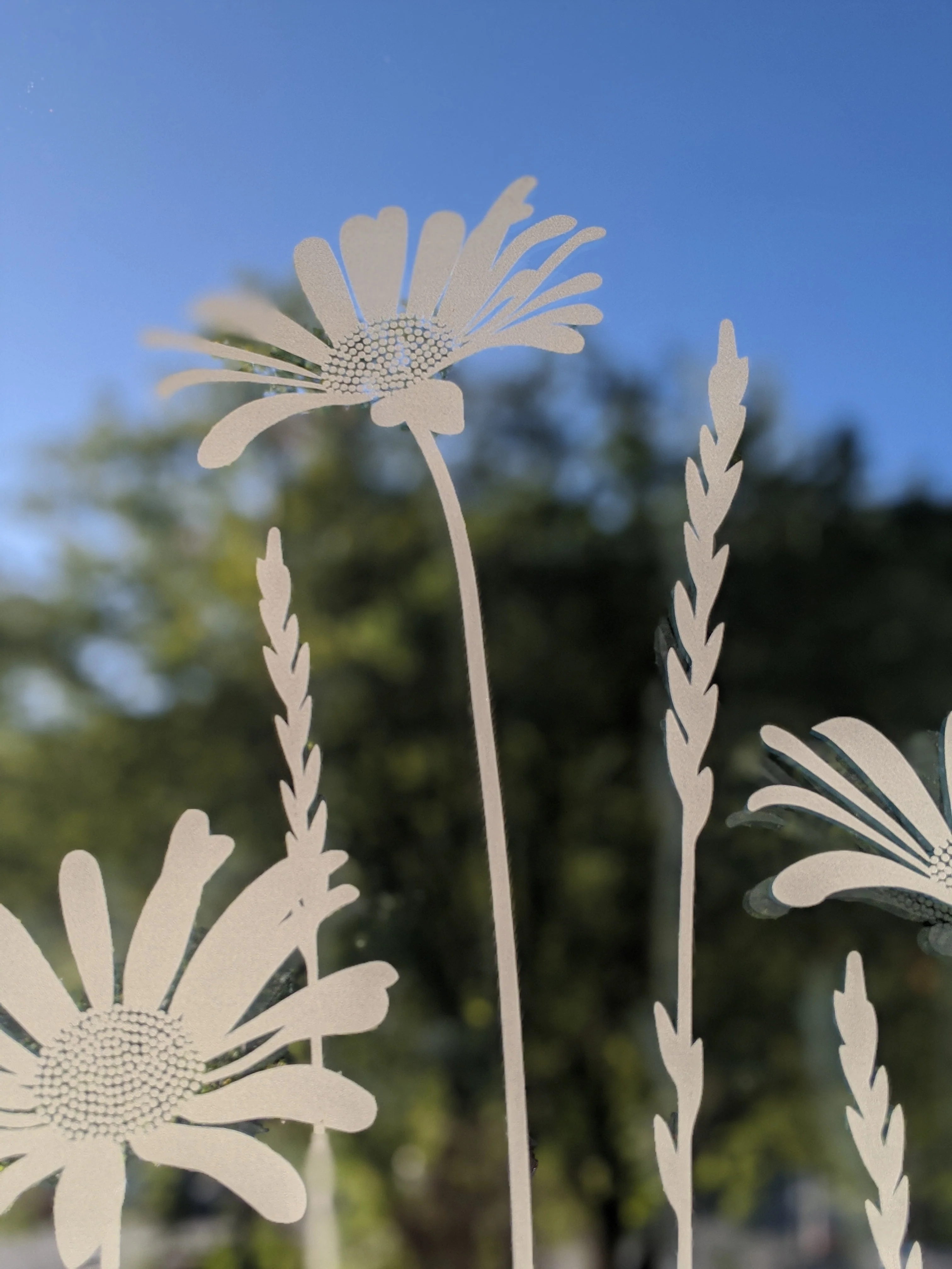 Daisy Meadows Edge - Hannah Nunn Designer Film - Image 11