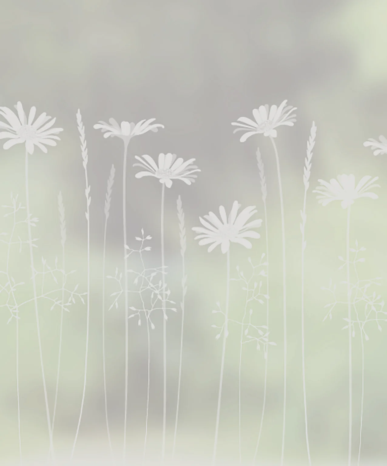 Daisy Meadows Edge - Hannah Nunn Designer Film - Image 5