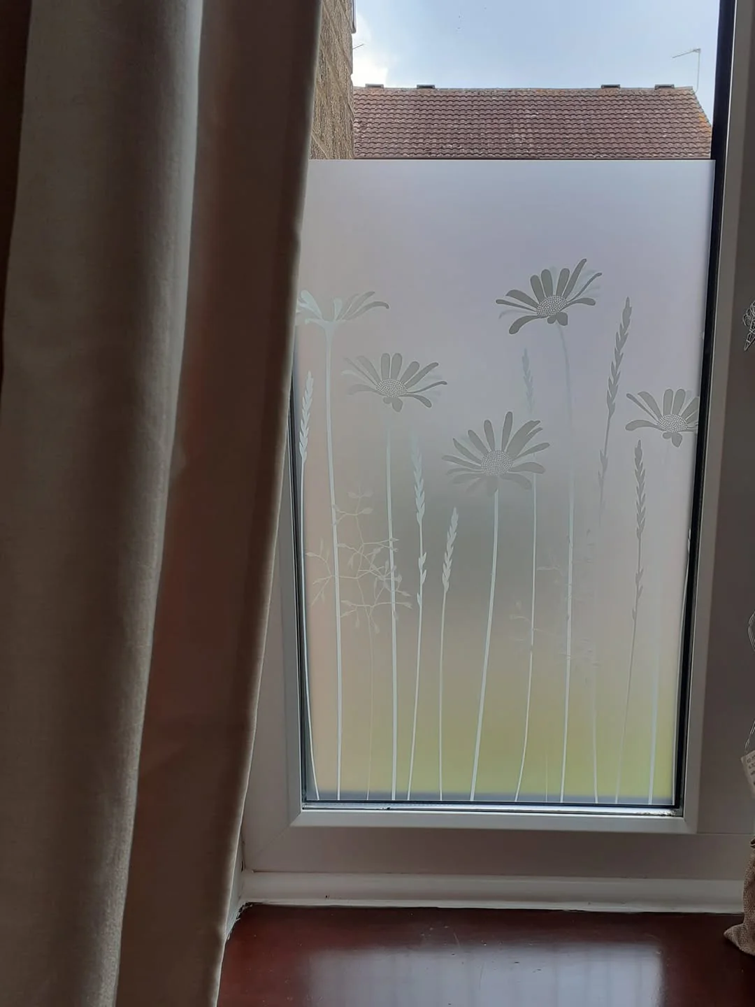 Daisy Meadows Edge - Hannah Nunn Designer Film - Image 7