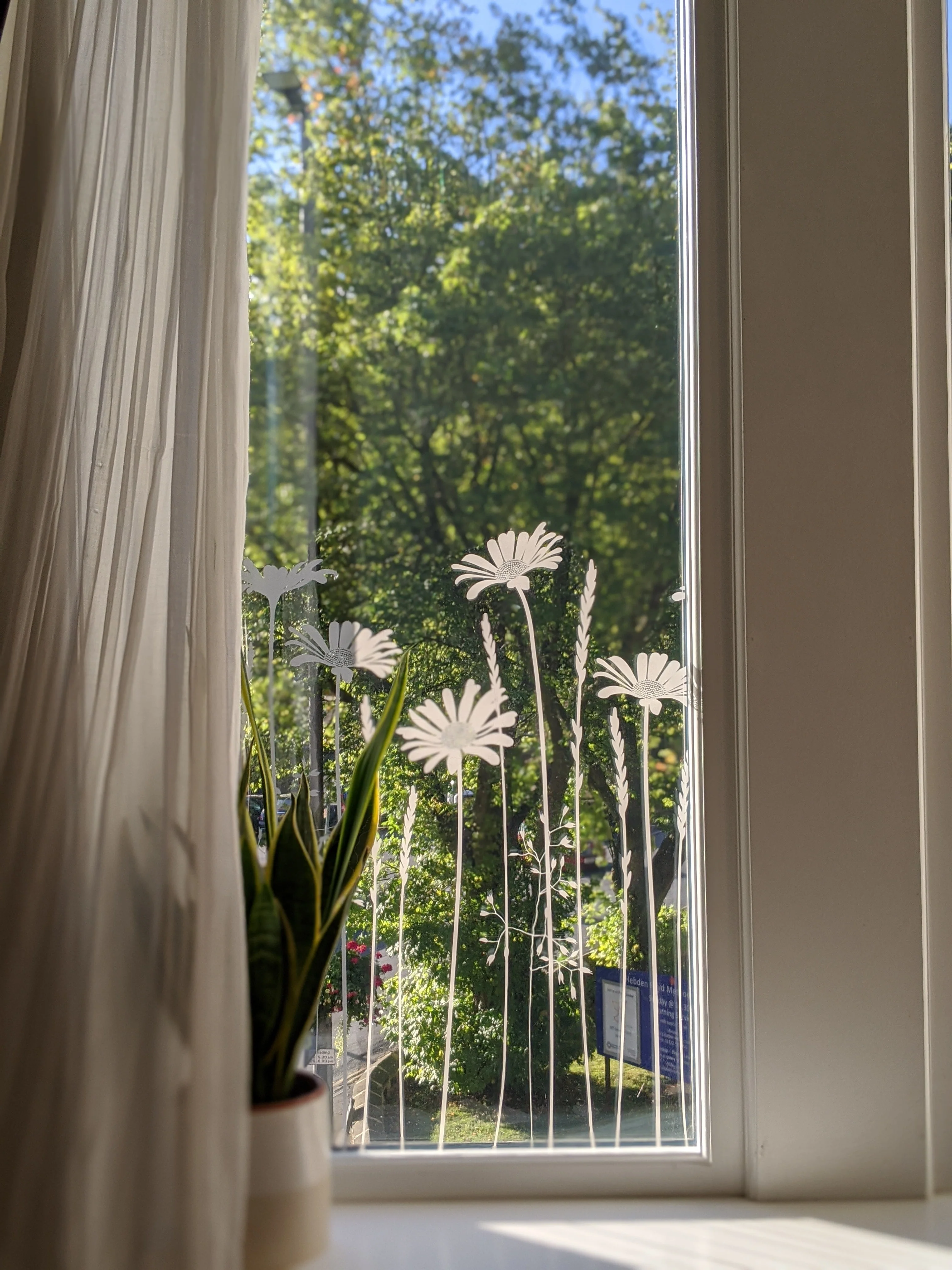 Daisy Meadows Edge - Hannah Nunn Designer Film - Image 8
