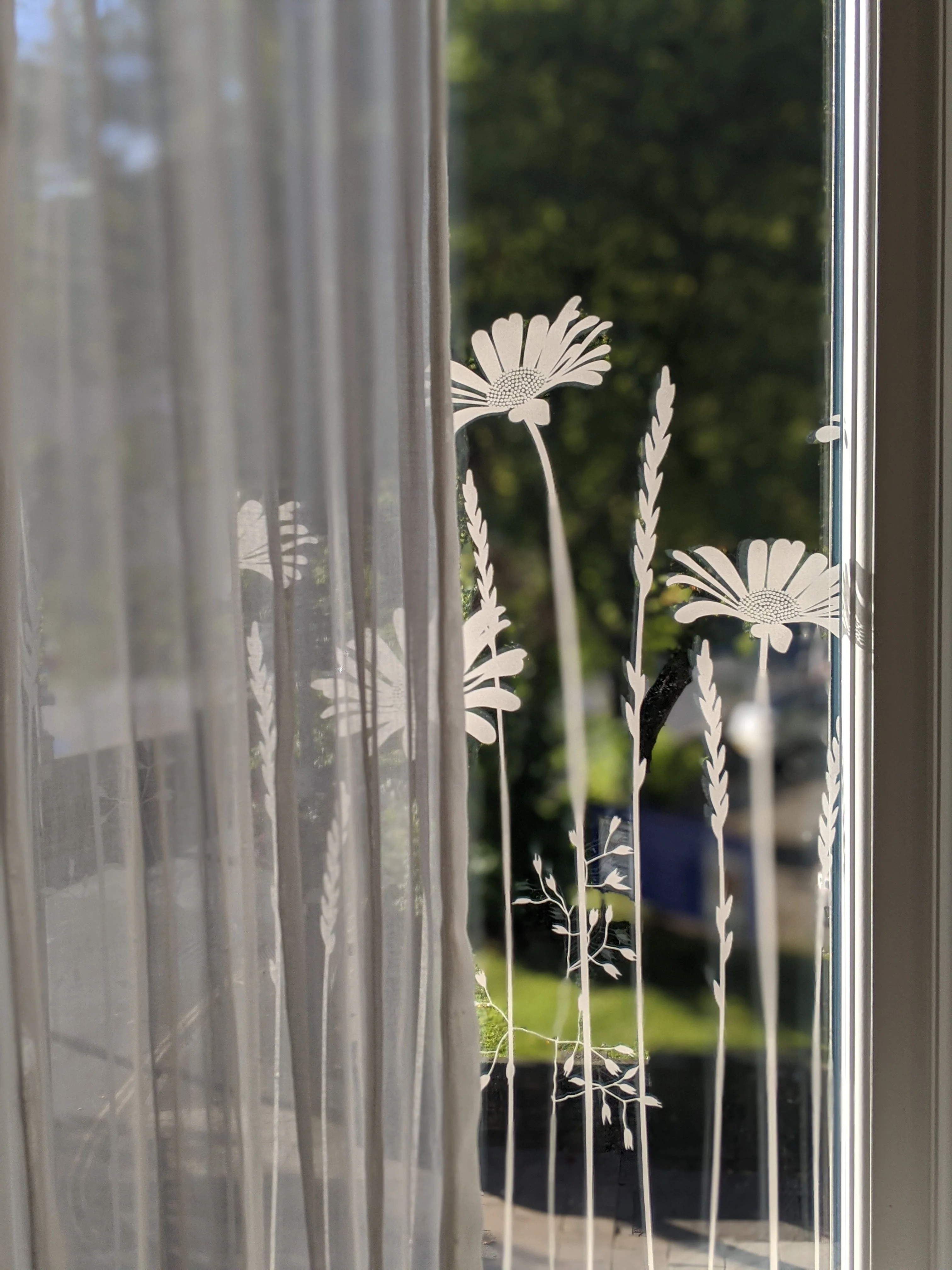 Daisy Meadows Edge - Hannah Nunn Designer Film - Image 9