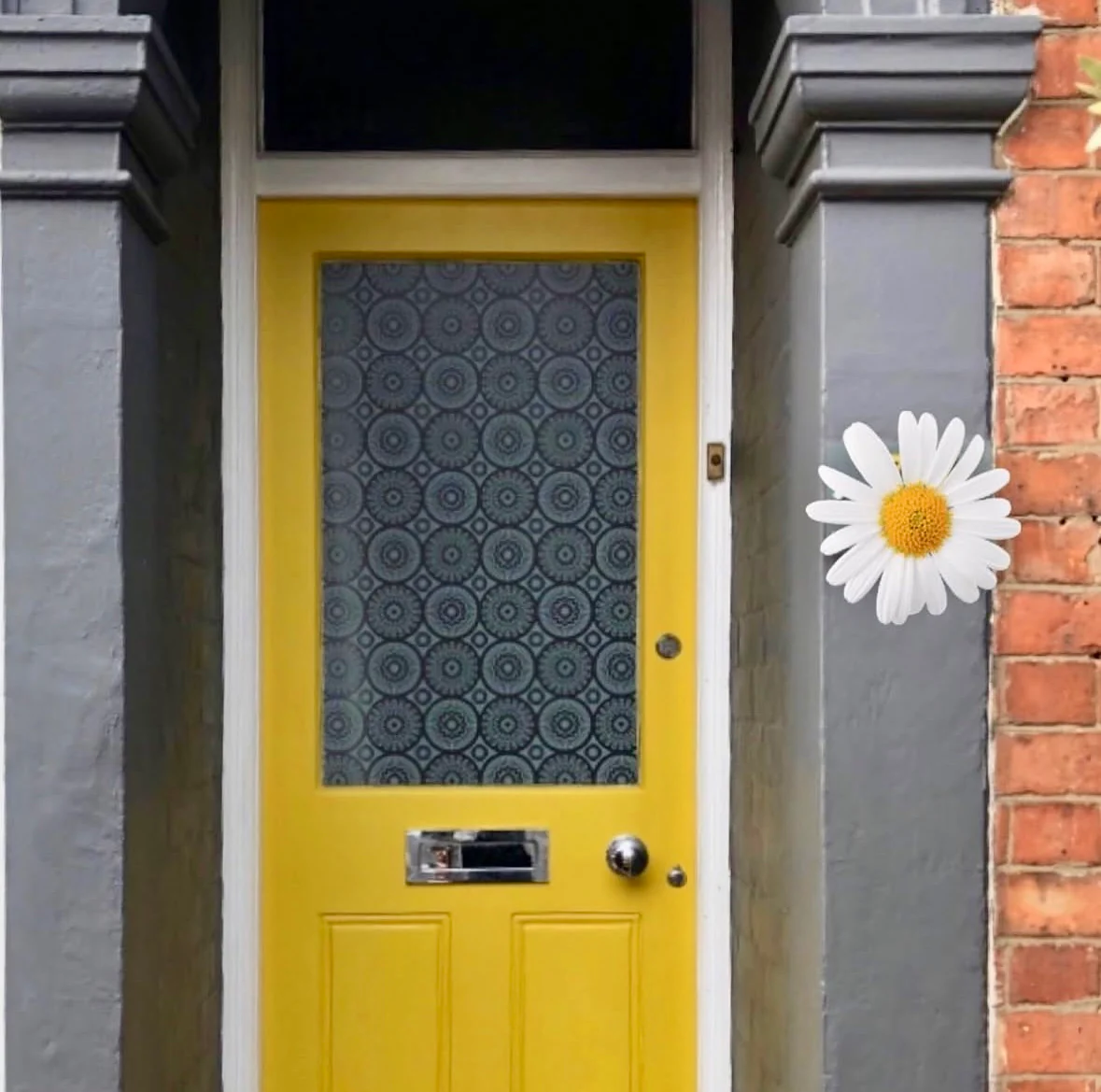Darjeeling - Mini Moderns Designer Film - Image 7