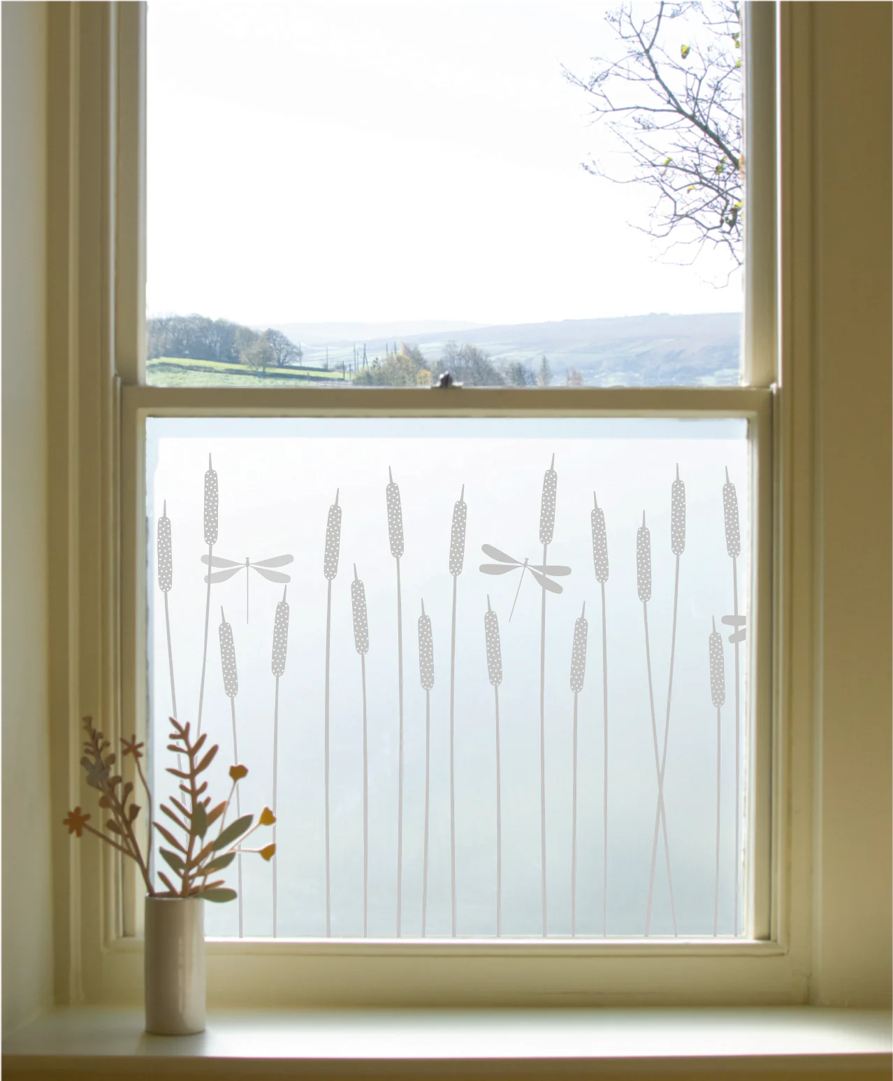 Dragonfly - Hannah Nunn Designer Film - Image 6