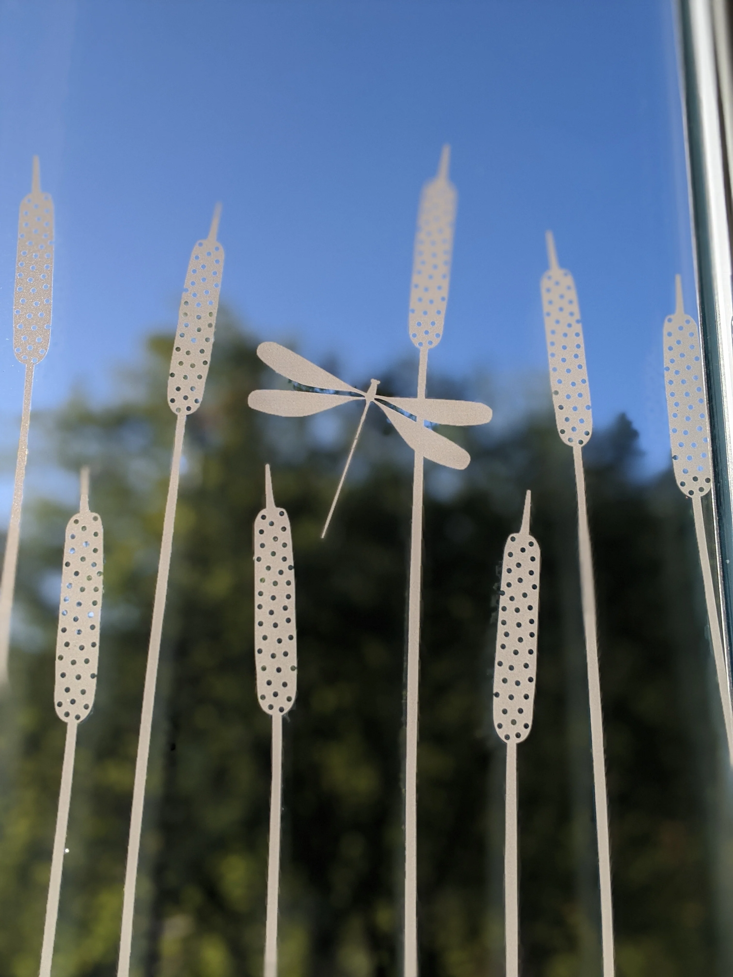 Dragonfly - Hannah Nunn Designer Film - Image 7