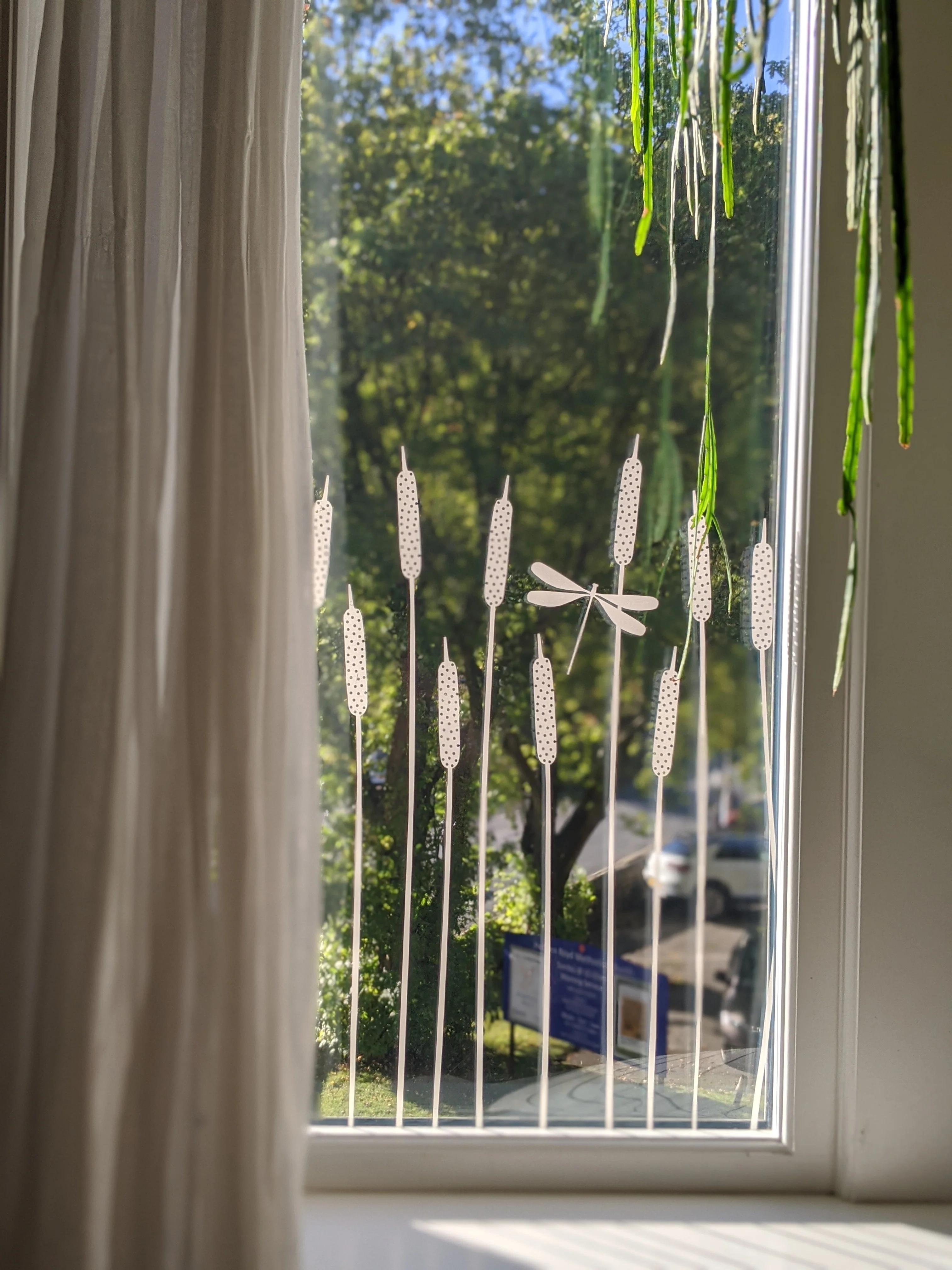 Dragonfly - Hannah Nunn Designer Film - Image 8