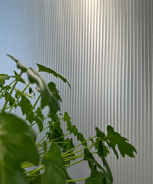 Evoke® Standard Frost Reeded Window Film - Image 3