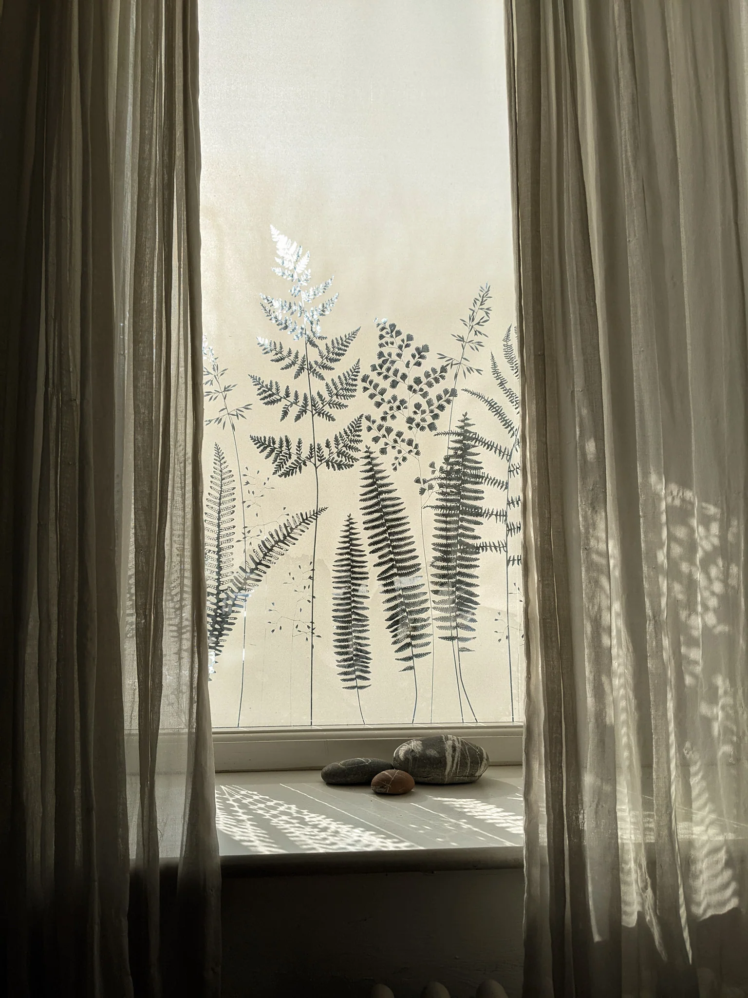 Fern - Hannah Nunn Designer Film - Image 12
