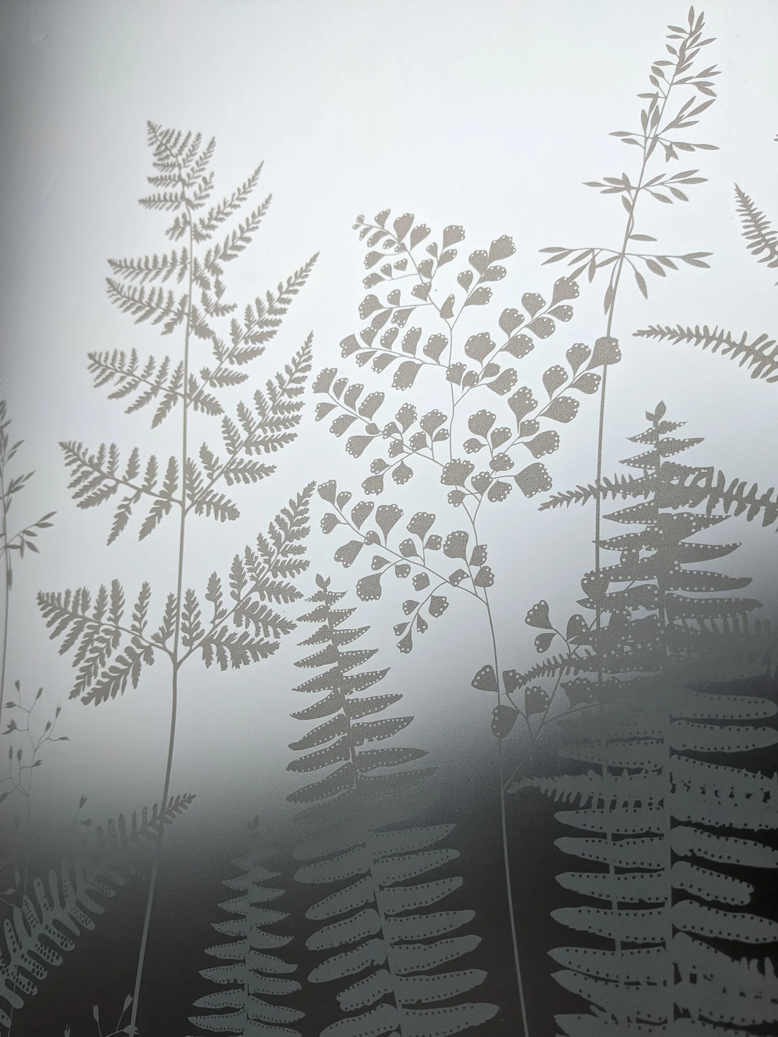 Fern - Hannah Nunn Designer Film - Image 16