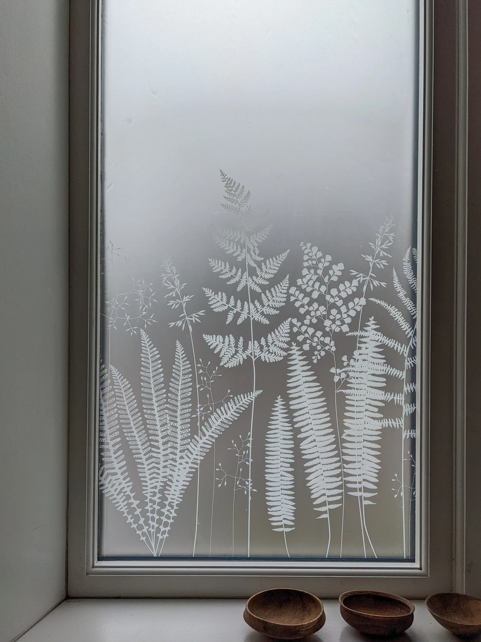 Fern - Hannah Nunn Designer Film - Image 17