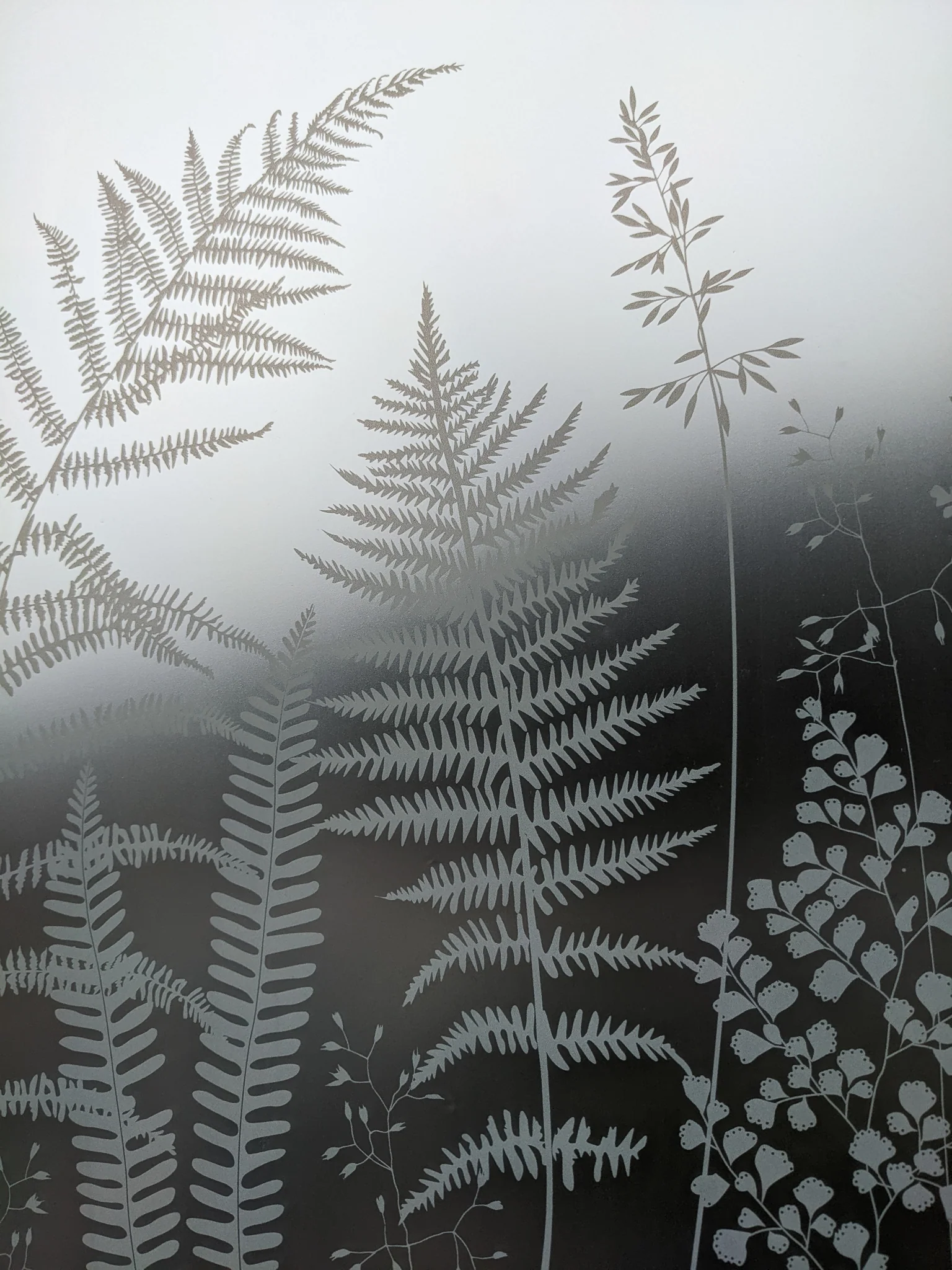 Fern - Hannah Nunn Designer Film - Image 18