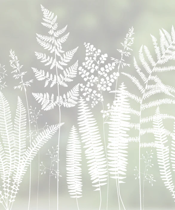 Fern - Hannah Nunn Designer Film - Image 5