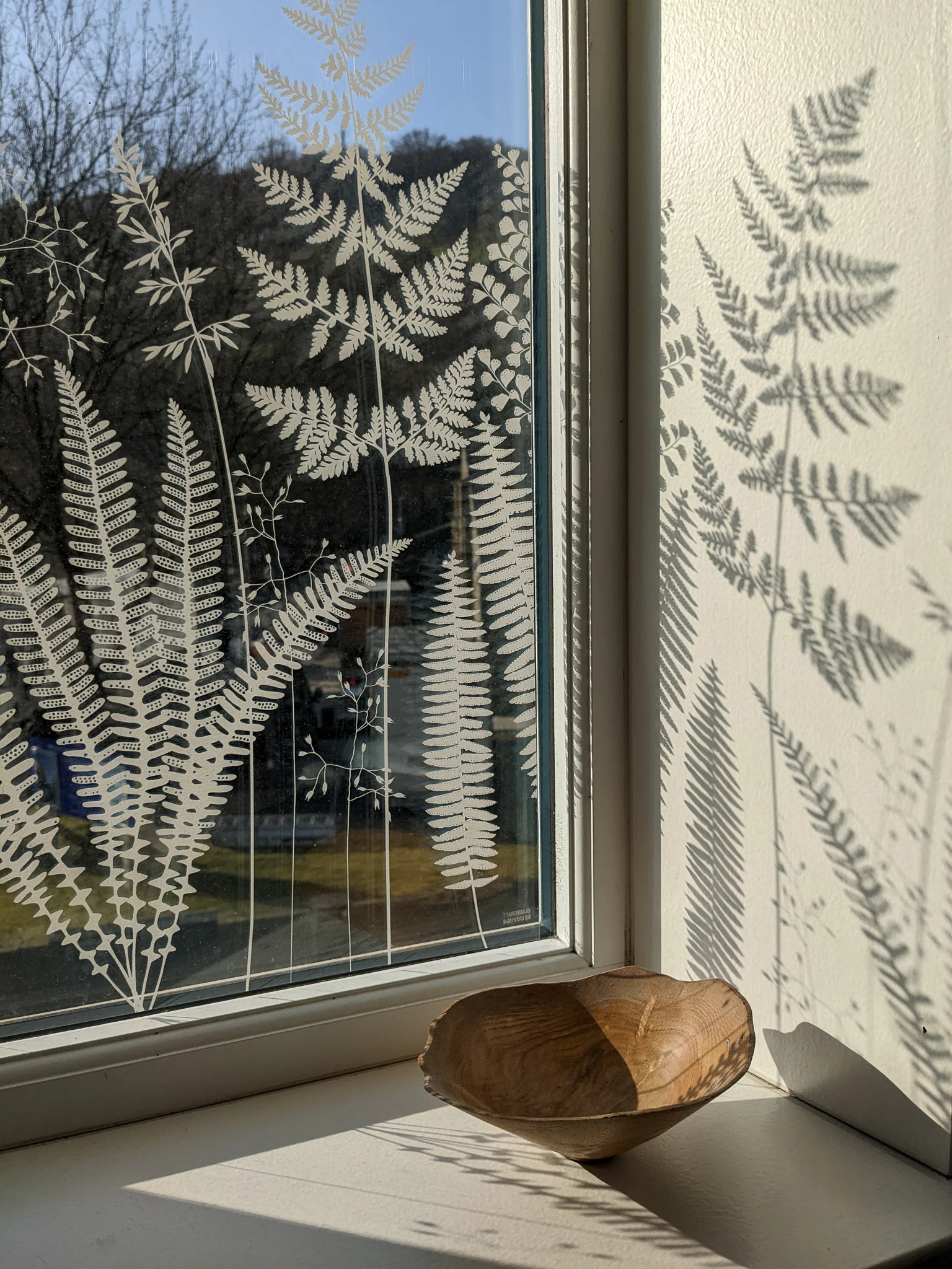 Fern - Hannah Nunn Designer Film - Image 7