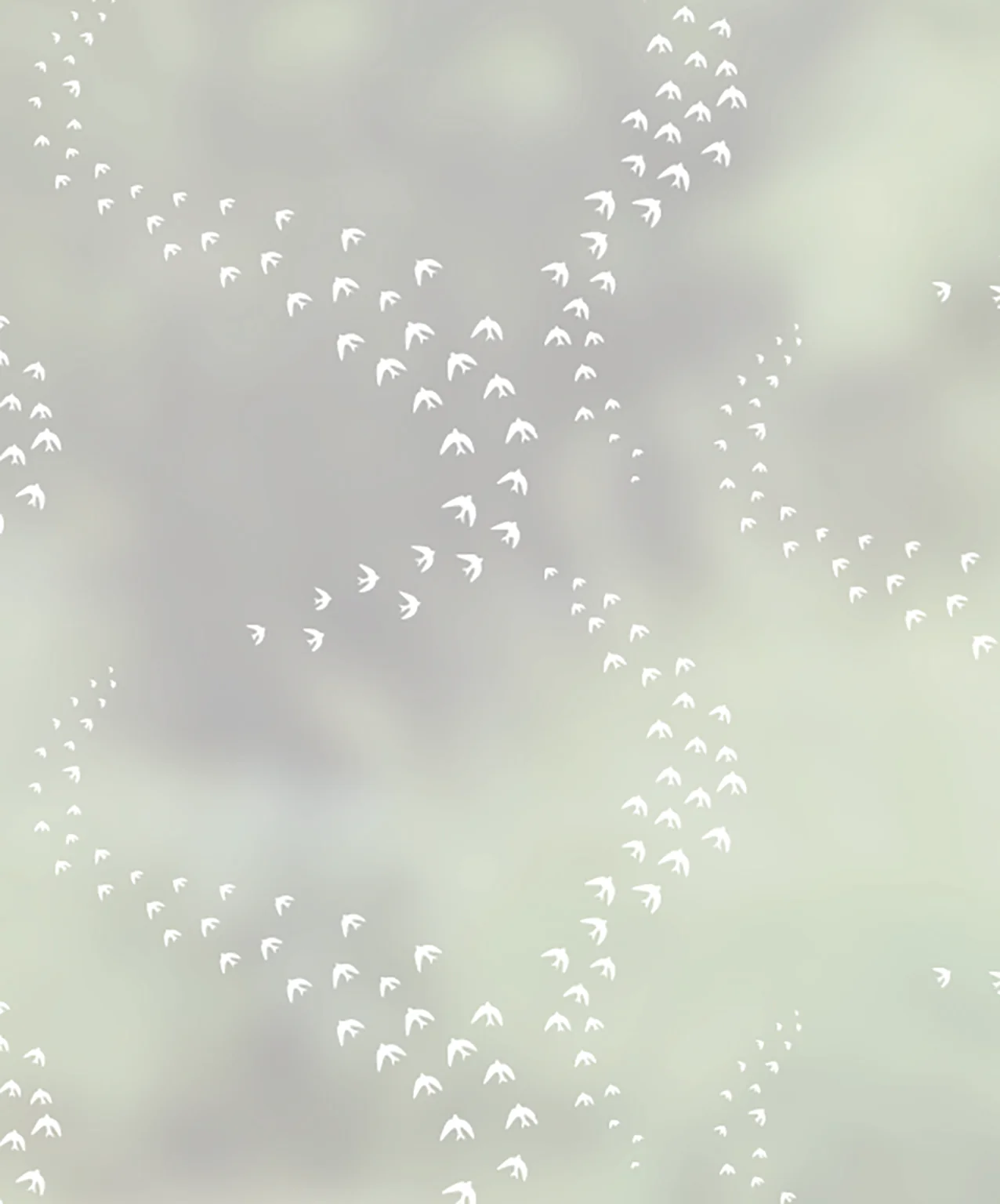 Murmurations - JoJo CoCo Designer Window Film - Image 2