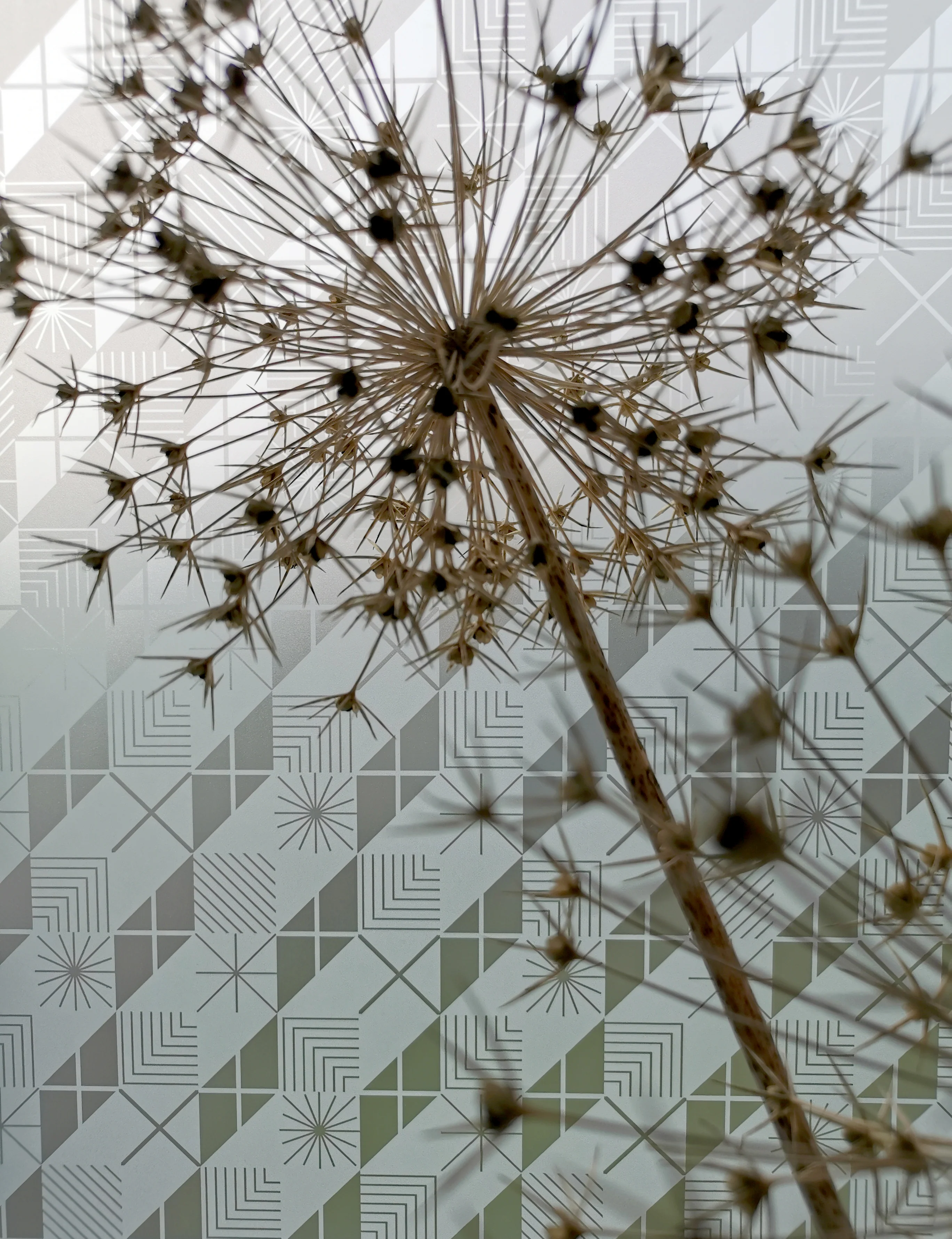 Shift - Kate Farley Designer Window Film - Image 7