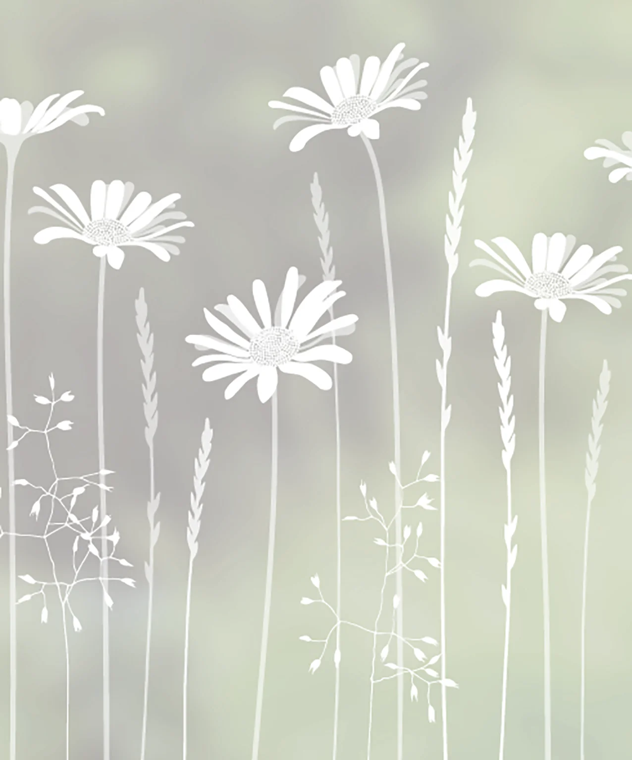 Tall Daisies - Hannah Nunn Designer Film - Image 5