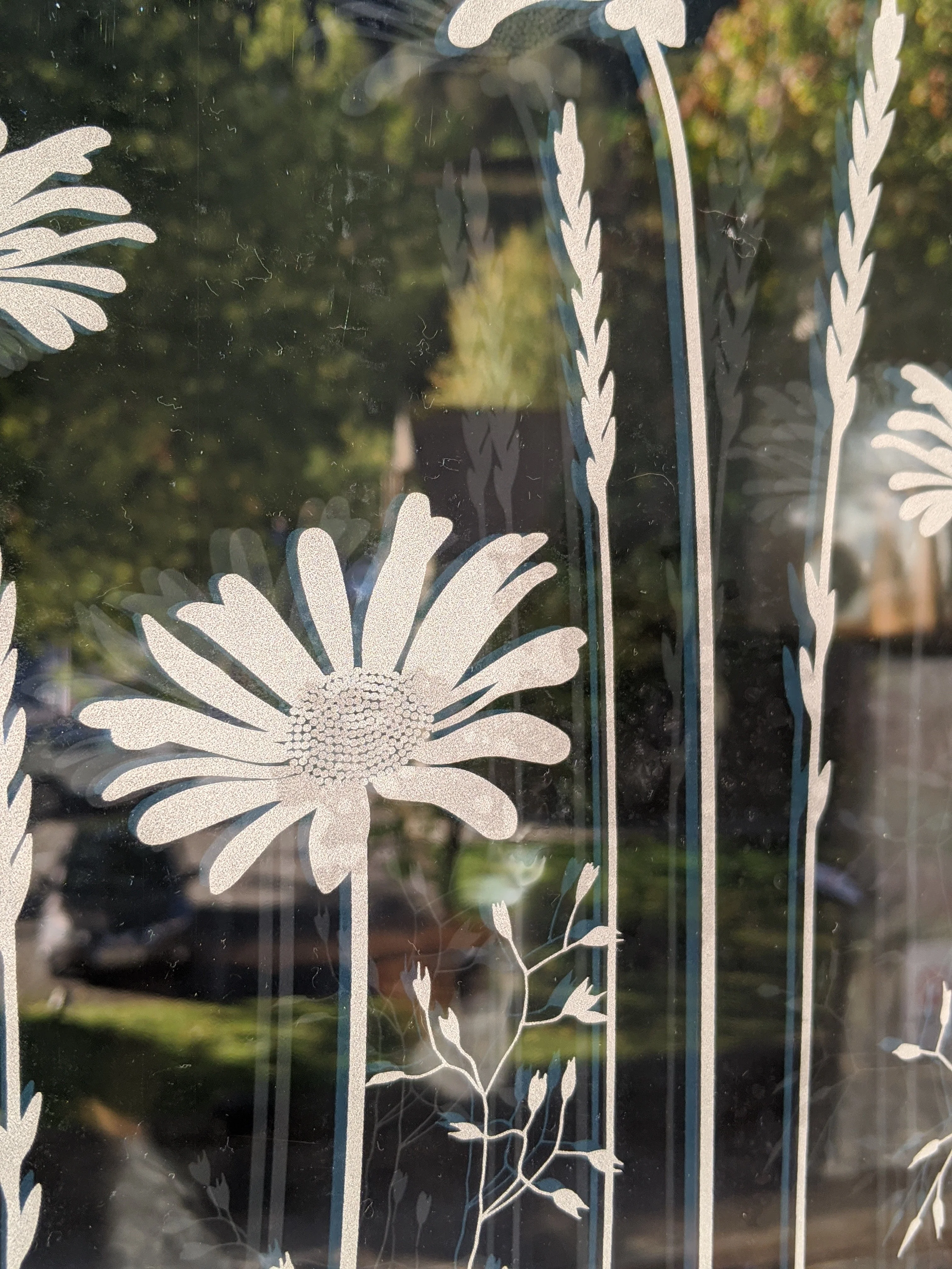 Tall Daisies - Hannah Nunn Designer Film - Image 6