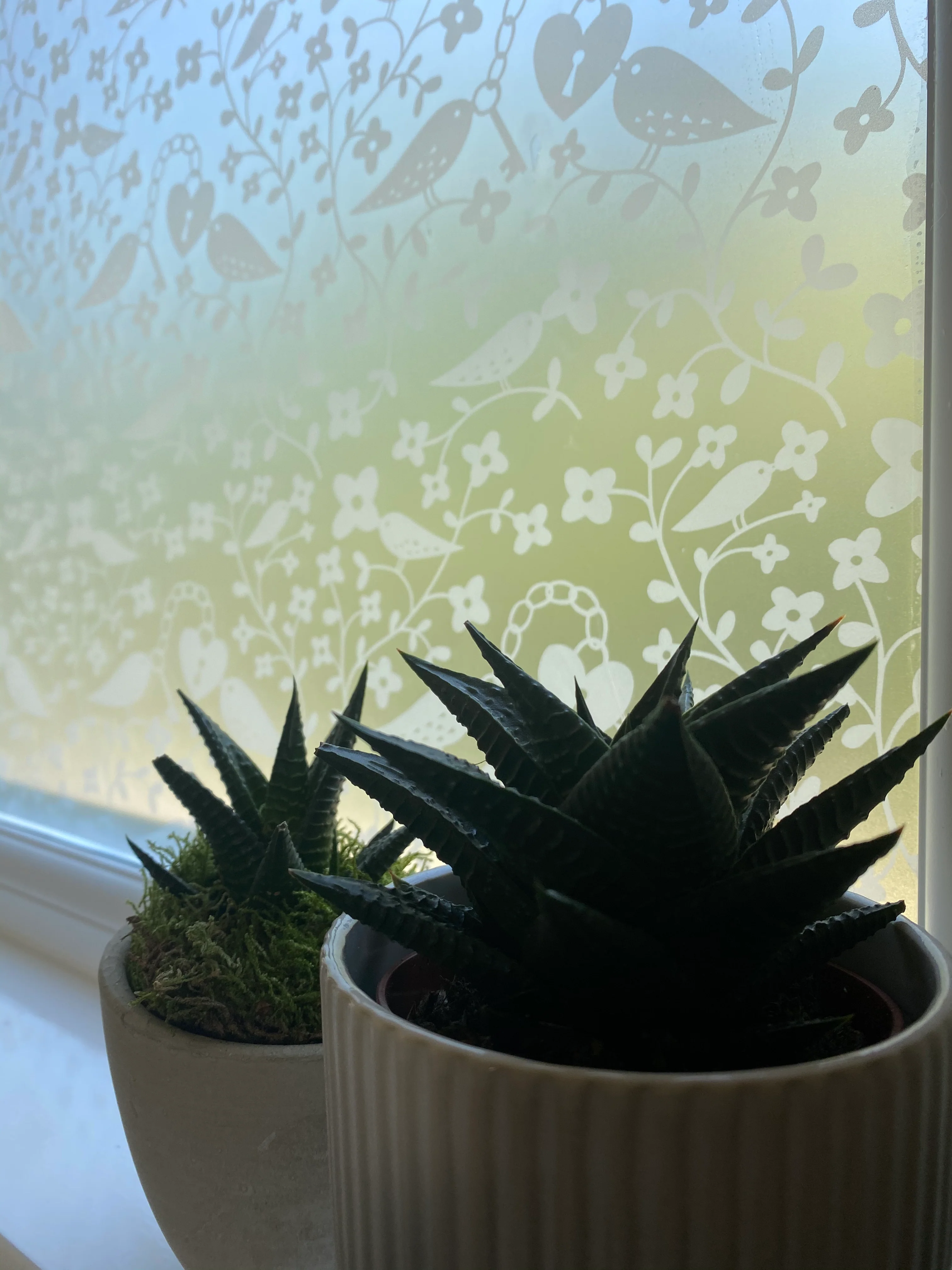 Tiled Bird Pattern - Rob Ryan Designer Window Film - Image 7