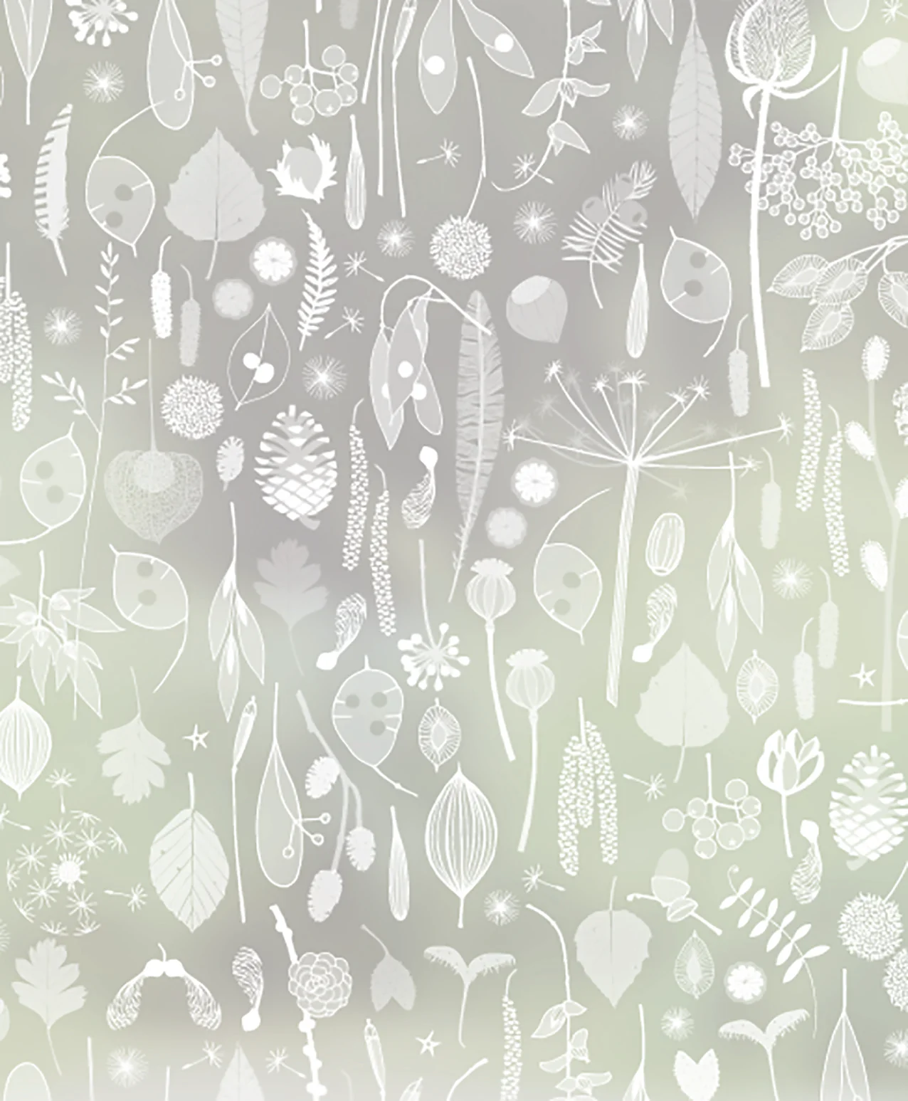 Tiny Treasures - Hannah Nunn Designer Film - Image 3