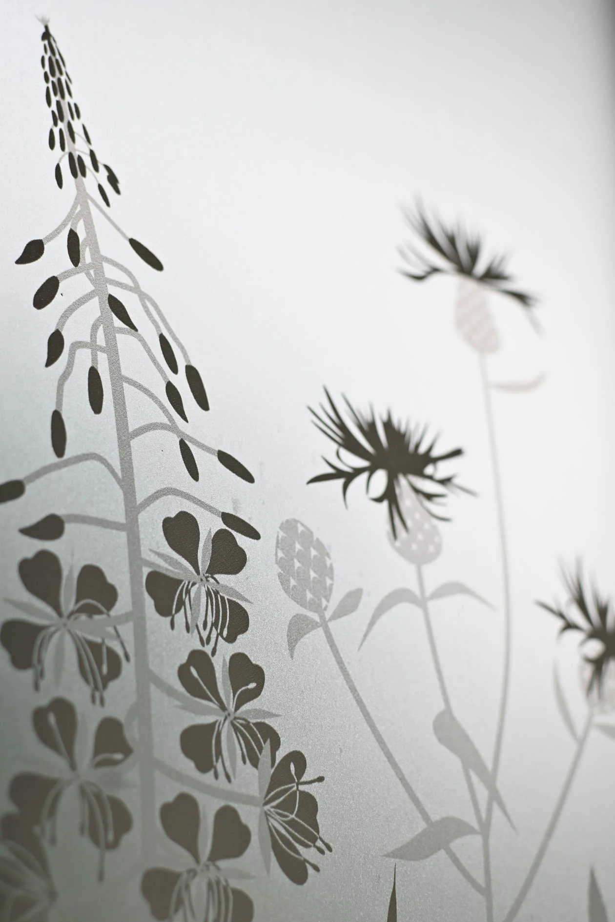 Wild Edge - Hannah Nunn Designer Film - Image 10