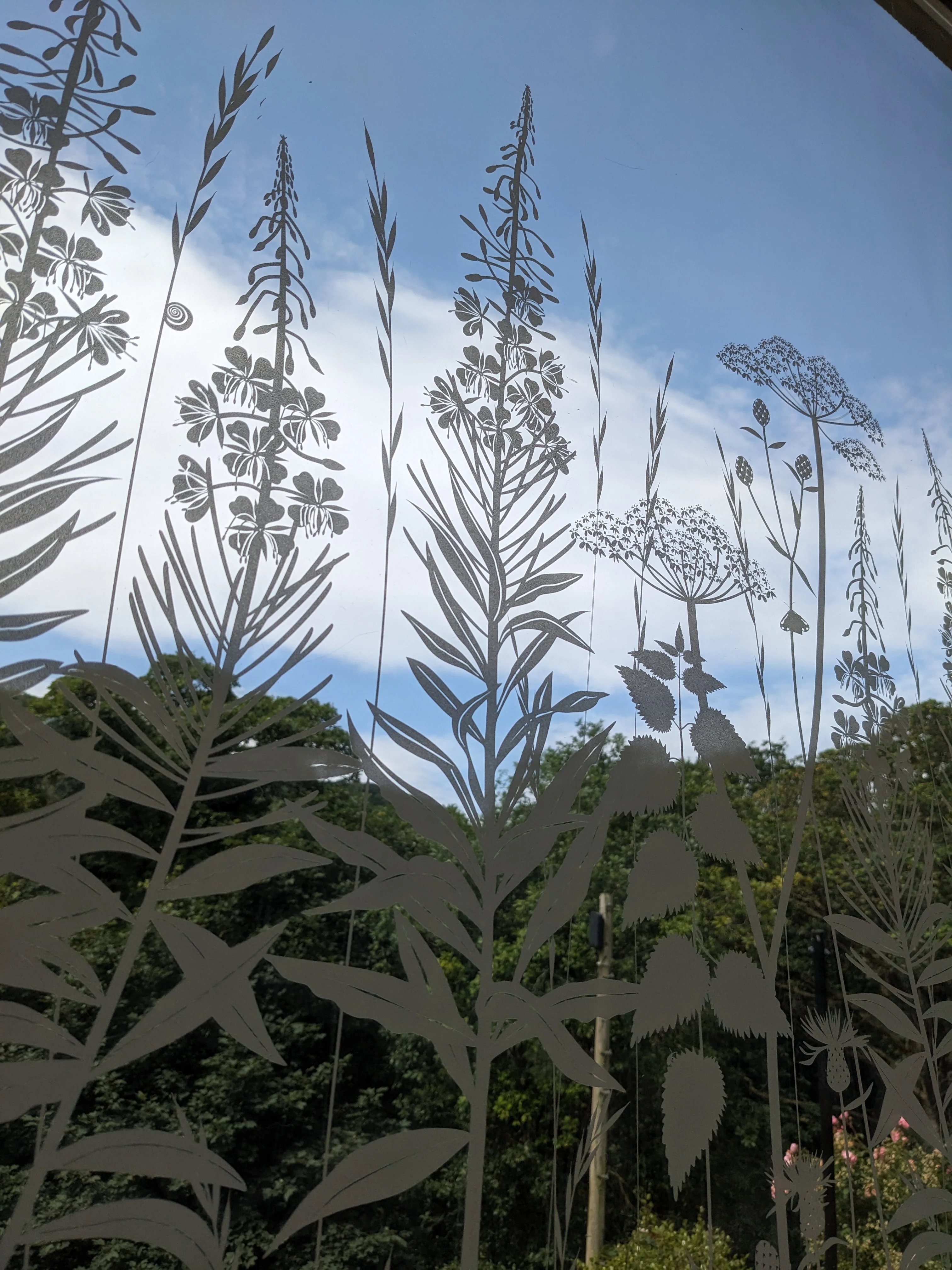 Wild Edge - Hannah Nunn Designer Film - Image 12